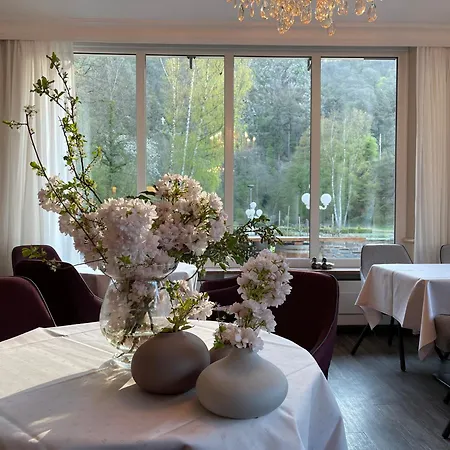 Alte Muehle Hotel *