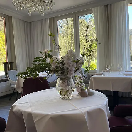Hotel Alte Muehle *