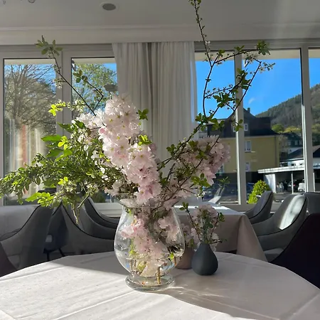 Alte Muehle Hotel *