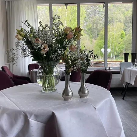 Hotel Alte Muehle
