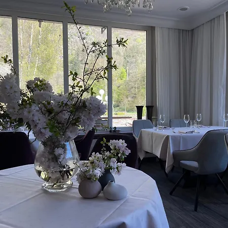 Hotel Alte Muehle