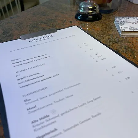 Alte Muehle 巴特贝特里希