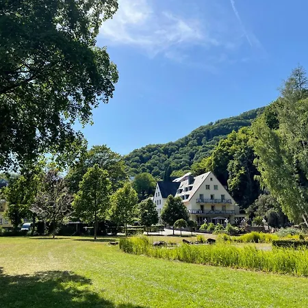 Alte Muehle *