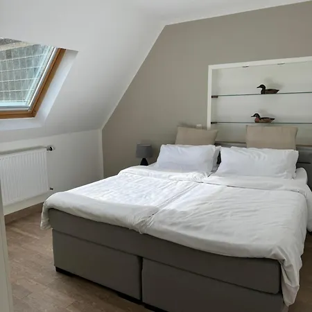 Alte Muehle מלון באד ברטריך