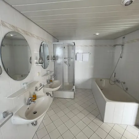 Alte Muehle Otel *