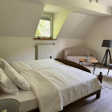 Alte Muehle Hotel Bad Bertrich