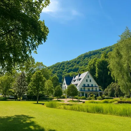 Alte Muehle *
