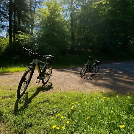 מלון Alte Muehle