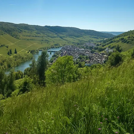 Alte Muehle Bad Bertrich