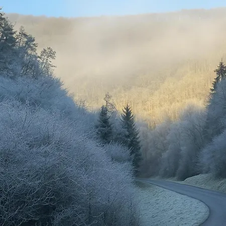 Alte Muehle * Bad Bertrich