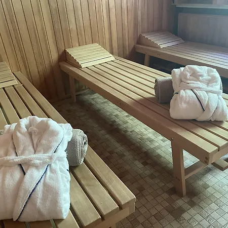 Alte Muehle Otel *