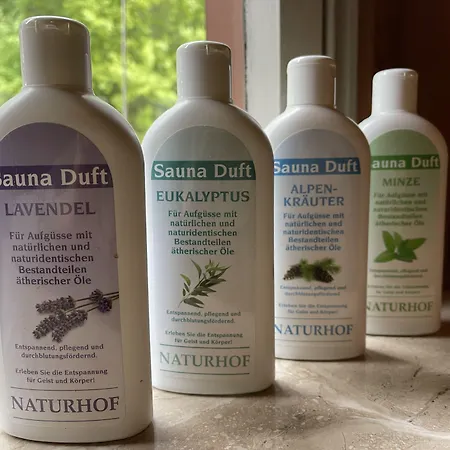 Alte Muehle באד ברטריך