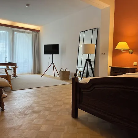 Alte Muehle Otel *