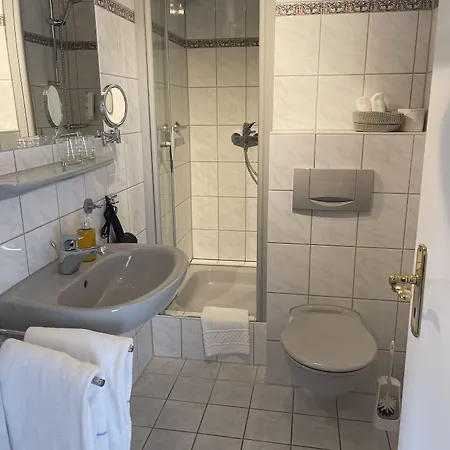 Alte Muehle Otel Bad Bertrich