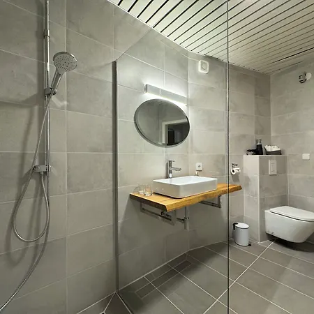 Alte Muehle Otel *