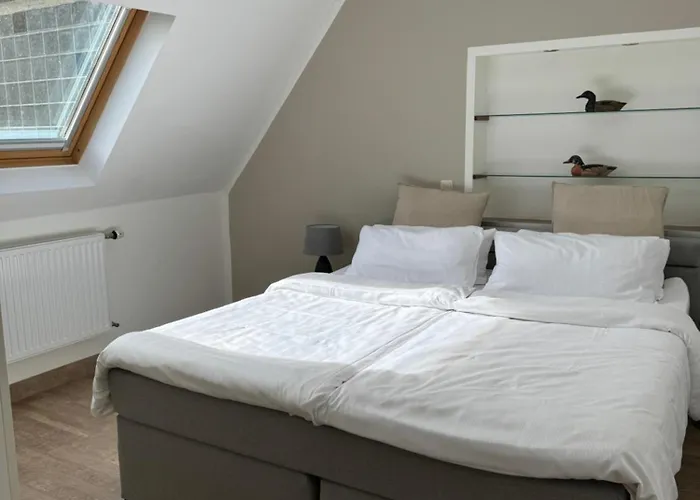 Alte Muehle Otel Bad Bertrich