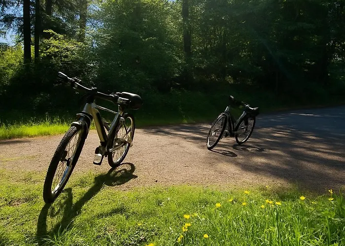 מלון Alte Muehle