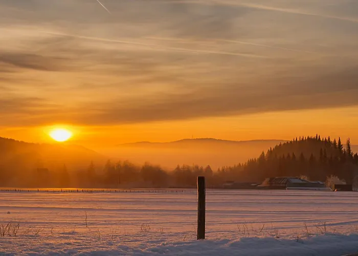 מלון Alte Muehle *