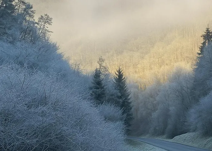 Alte Muehle * Bad Bertrich