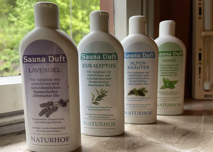 Alte Muehle Bad Bertrich