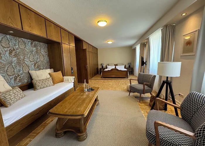 Alte Muehle מלון